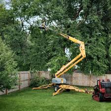 Best Leaf Removal  in Enola, PA